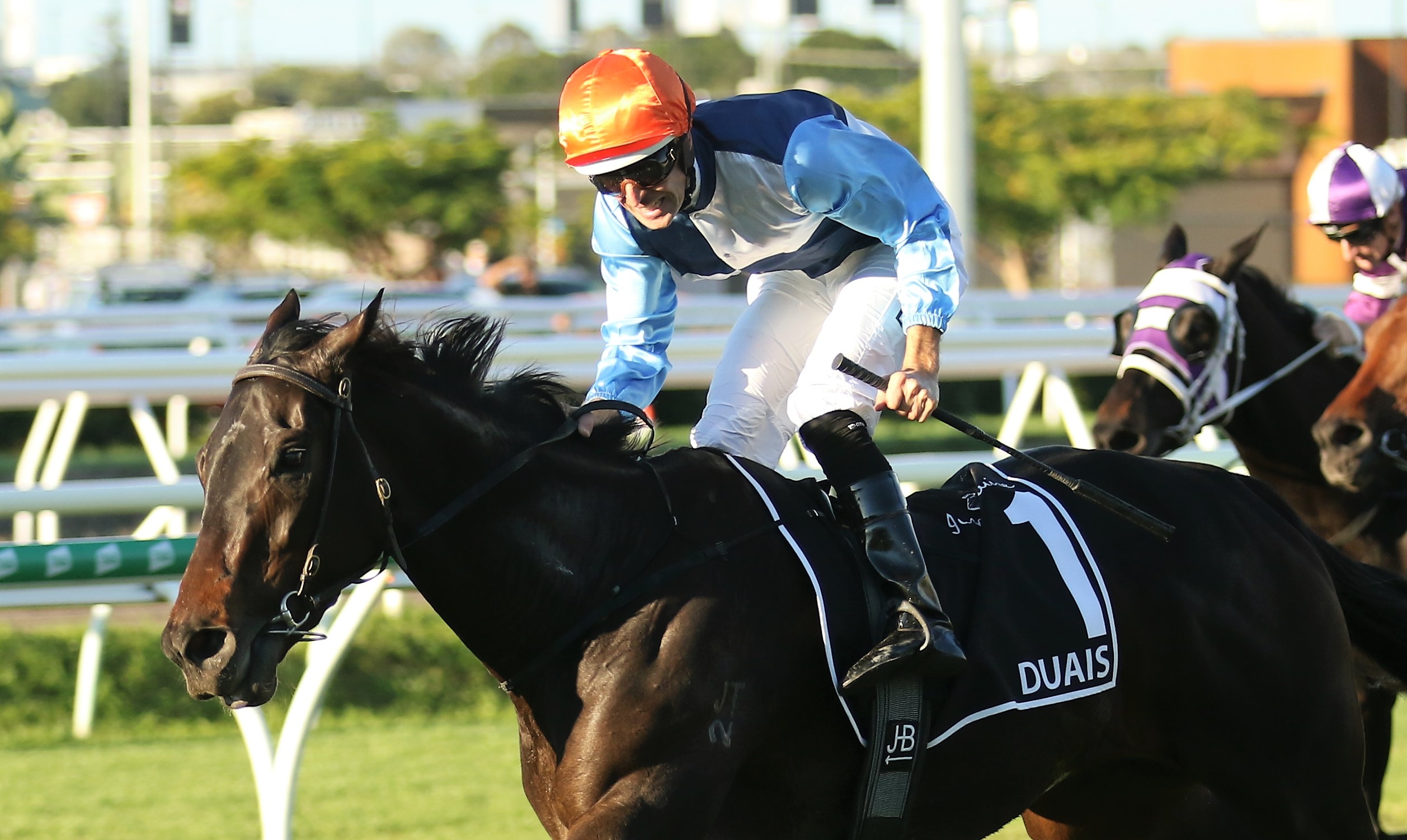 Edward Cummings confirms Caulfield Cup as a goal for Duais | RacingFans ...