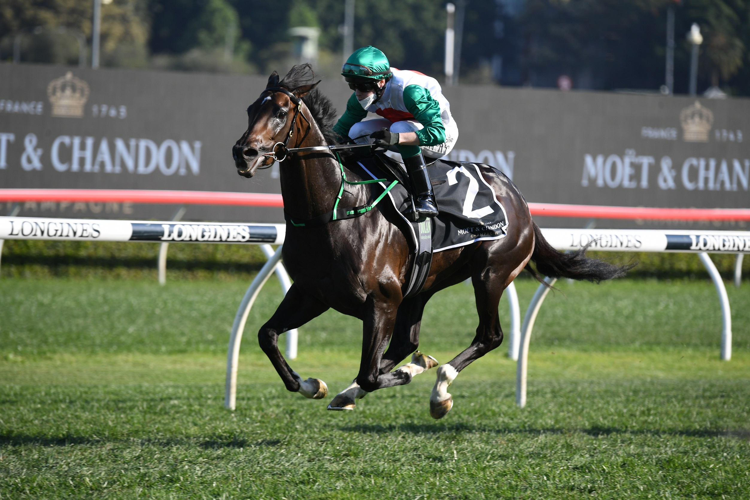 Profondo making Melbourne debut in the Australian Guineas | RacingFans ...