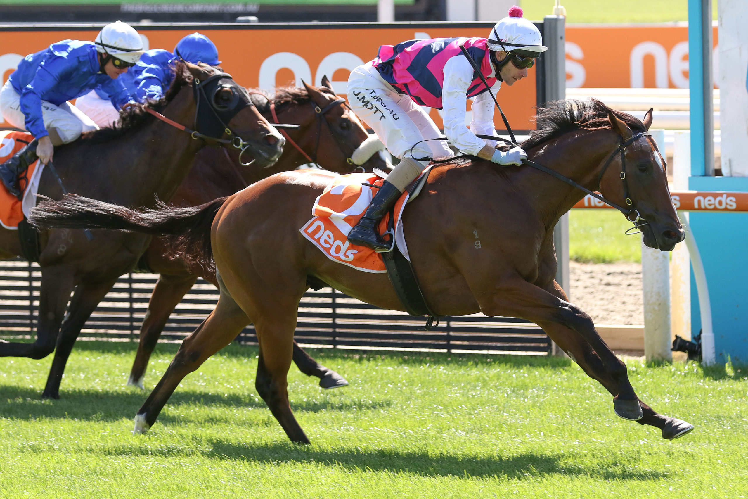 Daily Bugle and Ocean Raider go head to head at Caulfield RacingFans