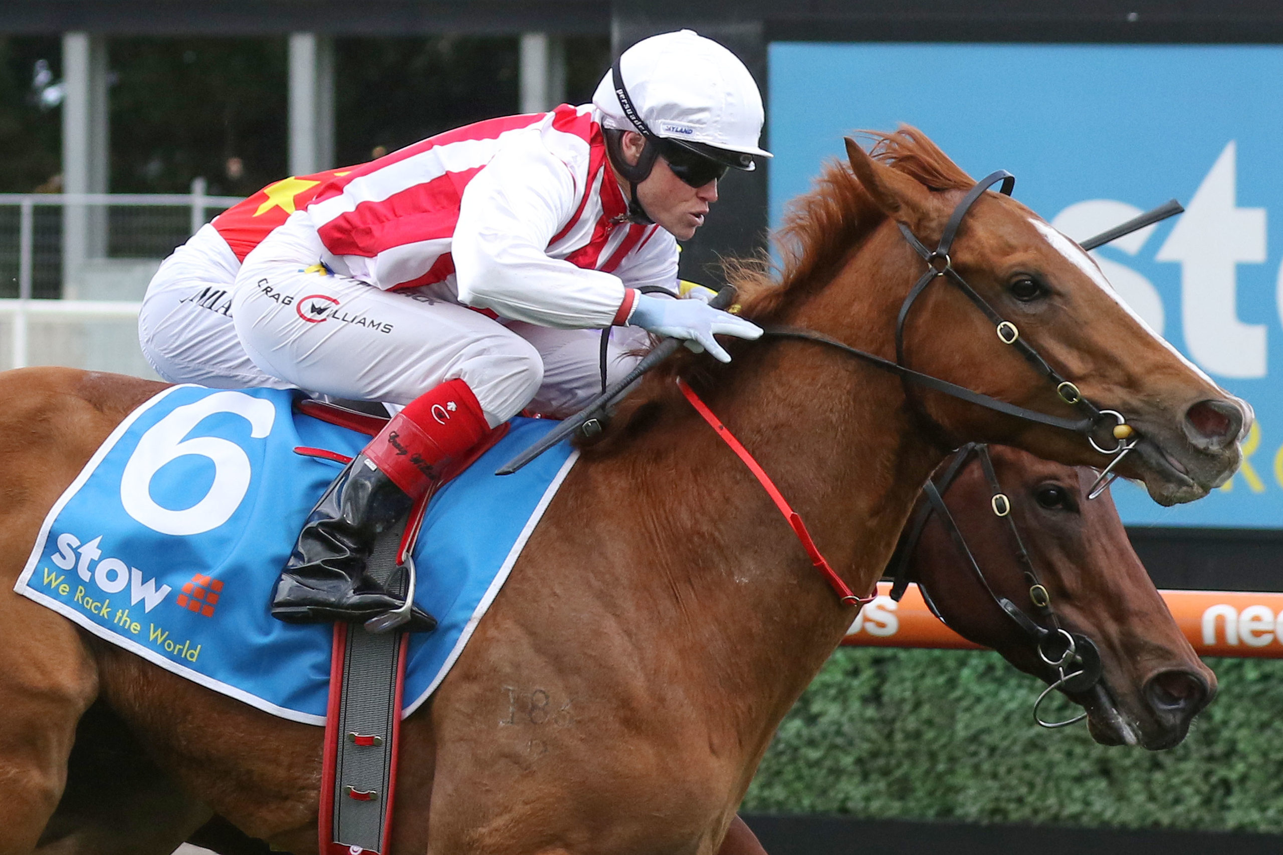 Giga Kick gives Clayton Douglas first stakes win in Vain Stakes Giga Kick gives Clayton Douglas first stakes win in Vain Stakes