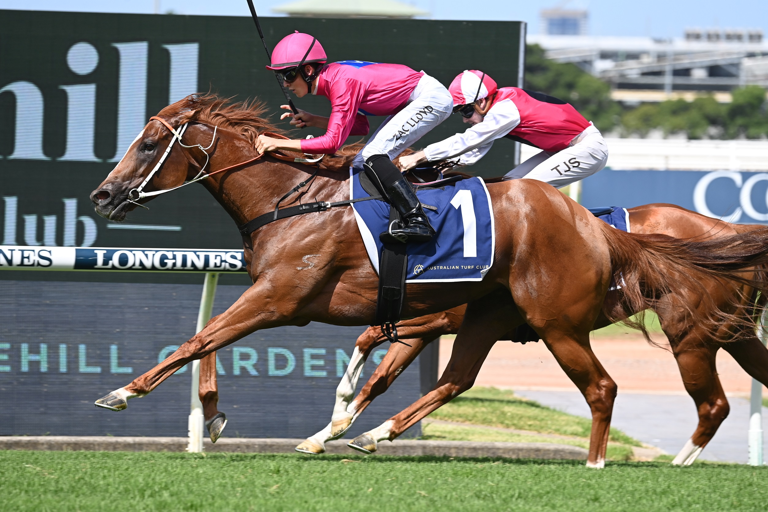 Zac Lloyd lands maiden stakes win in the Millie Fox Stakes RacingFans