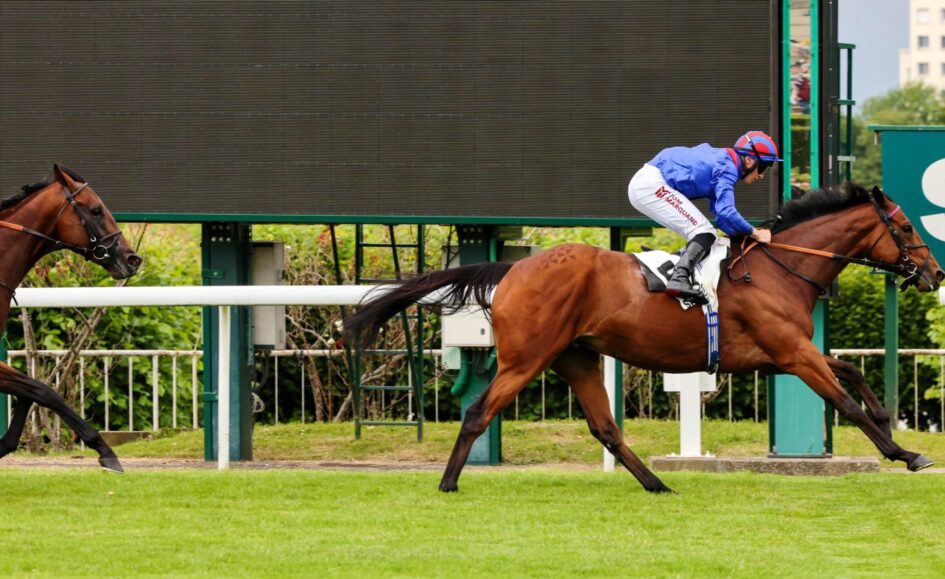 Another Group 1 for Dubai Honour