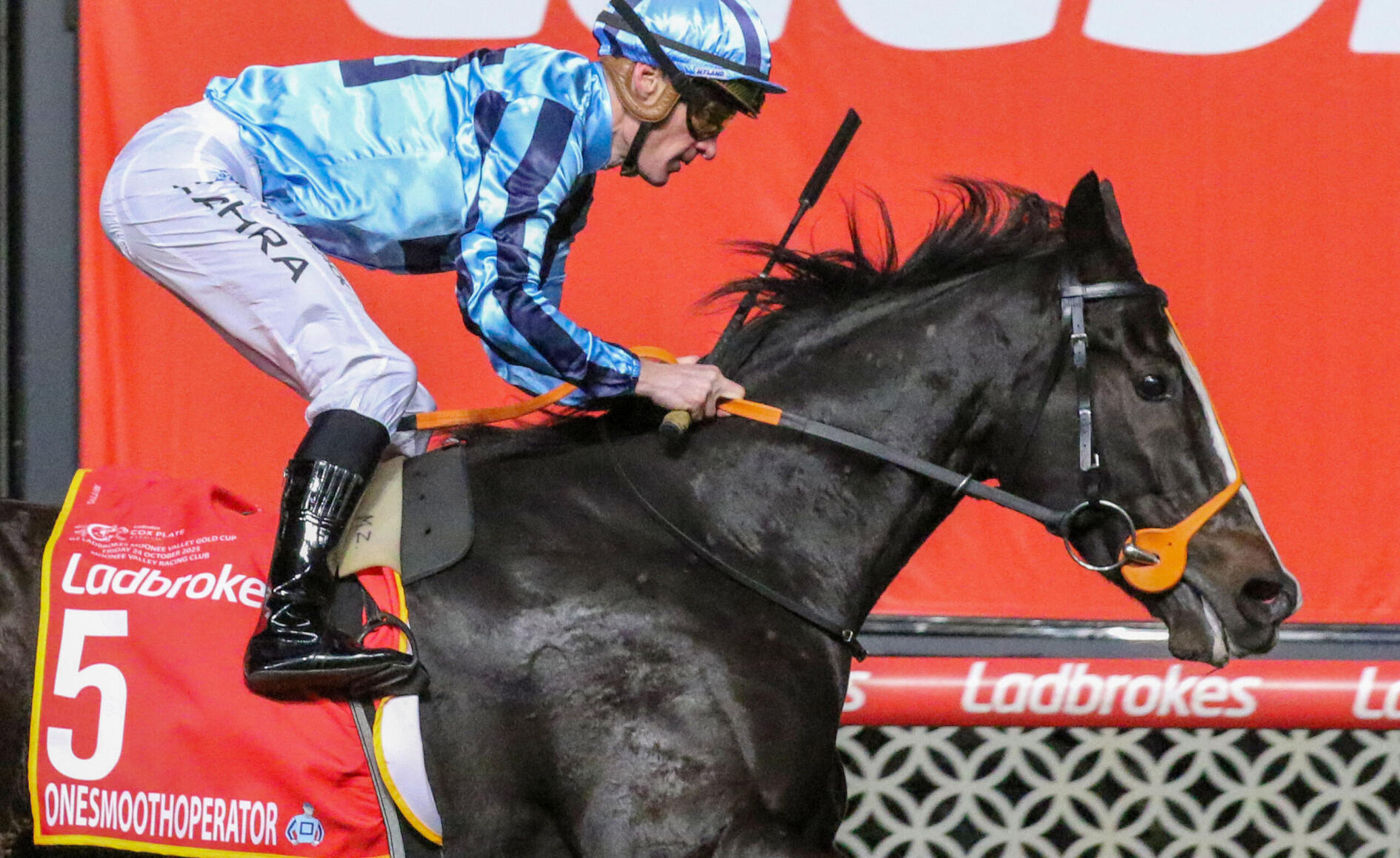 Onesmoothoperator confirms a 2025 Melbourne Cup tilt | RacingFans.com.au