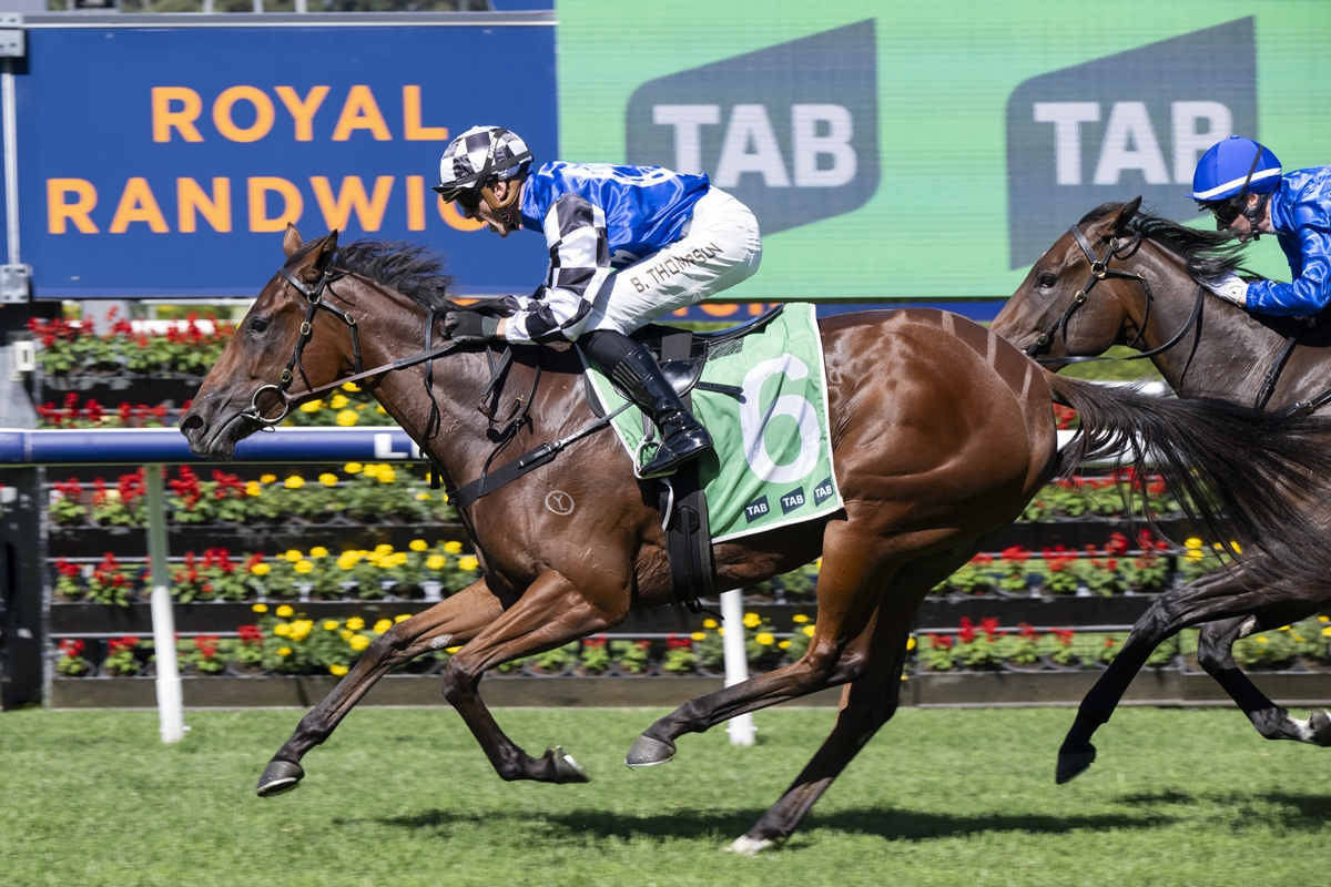 Surprise success for Cherry Bomshell in Percy Sykes Stakes | RacingFans ...